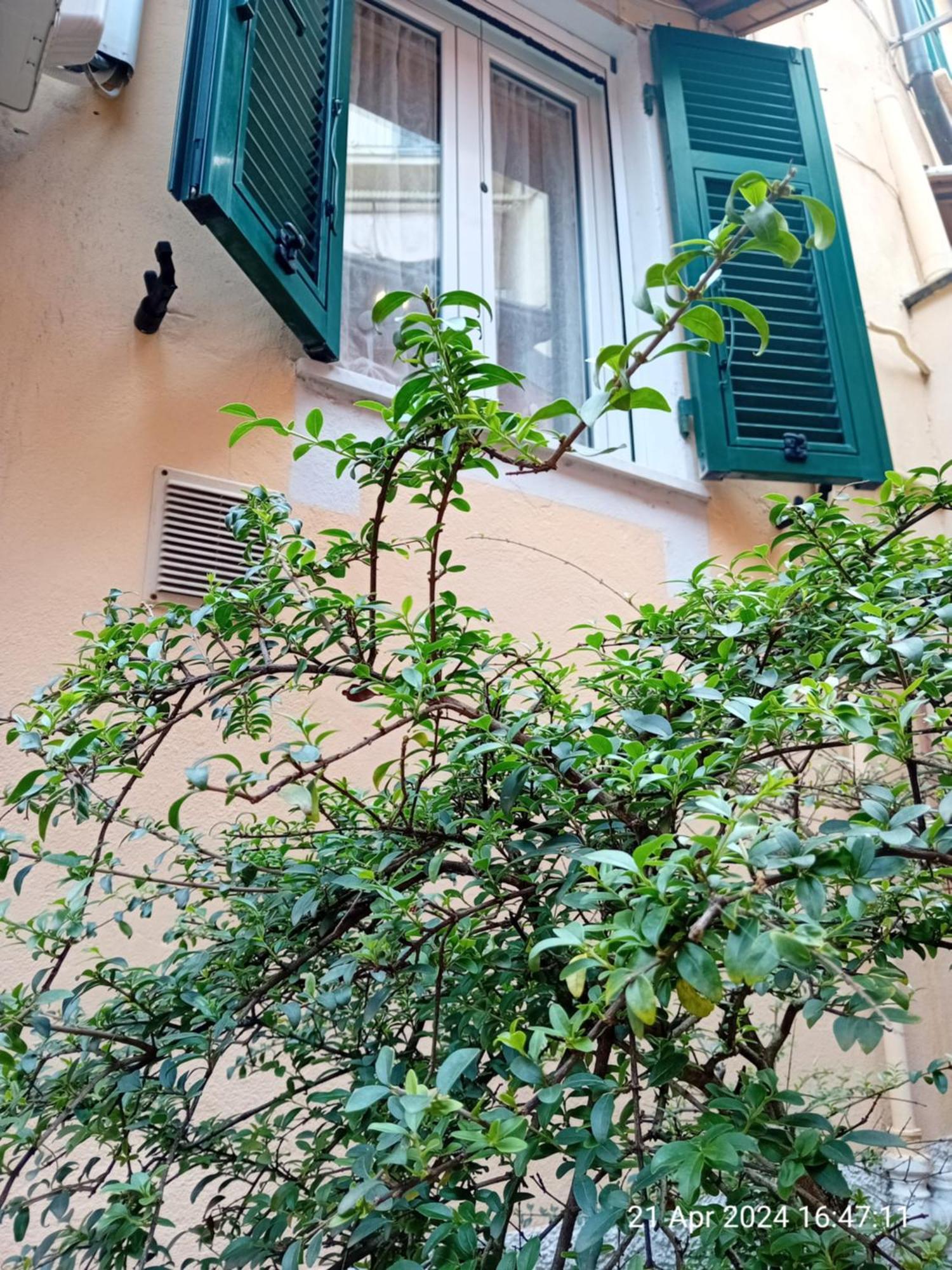 Appartamento Il Vicolo La Spezia Cinque Terre Εξωτερικό φωτογραφία