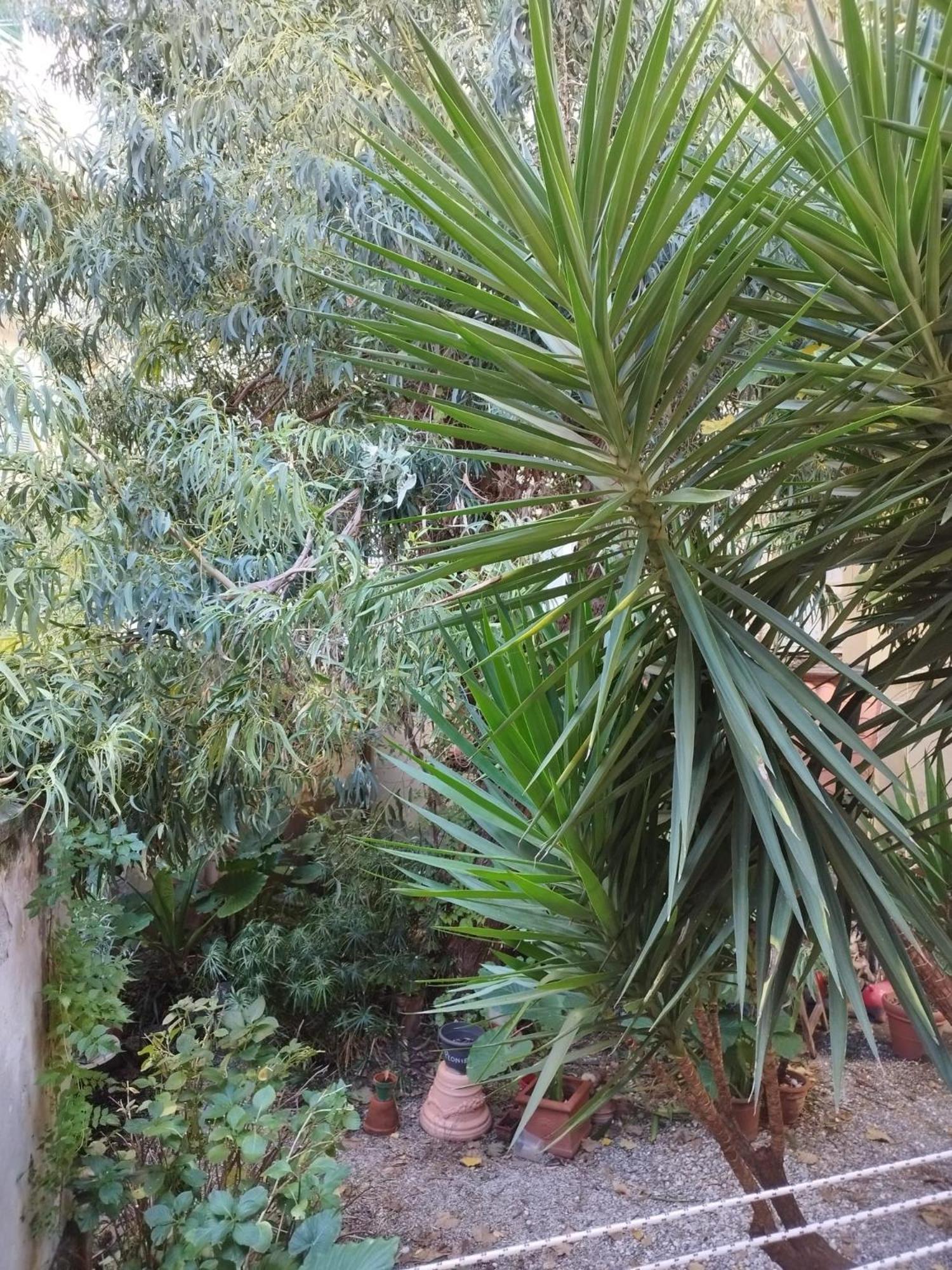 Appartamento Il Vicolo La Spezia Cinque Terre Εξωτερικό φωτογραφία