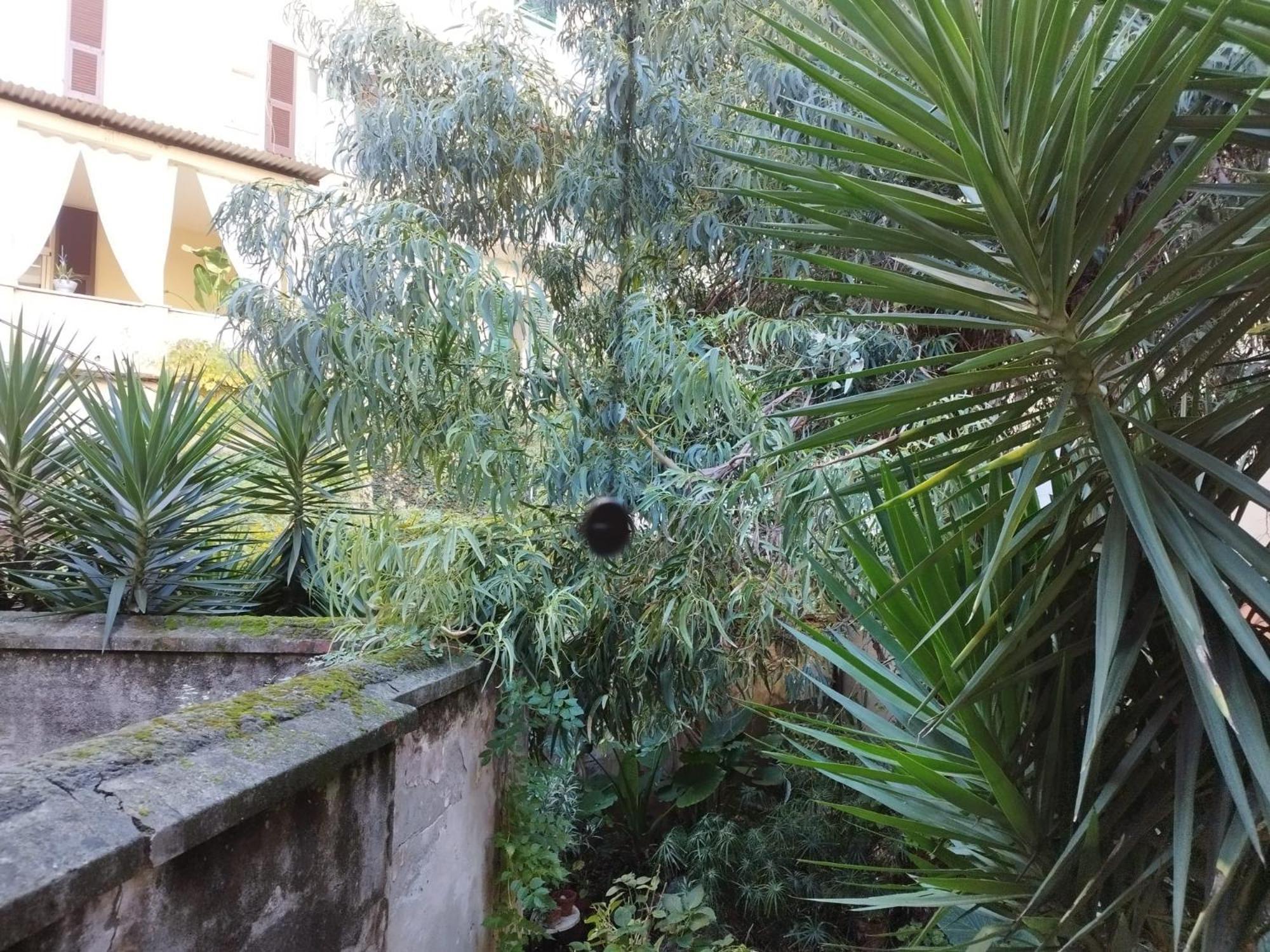 Appartamento Il Vicolo La Spezia Cinque Terre Εξωτερικό φωτογραφία
